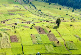 Акты на землю  - упрощение или «опять хождение по кругам ада»