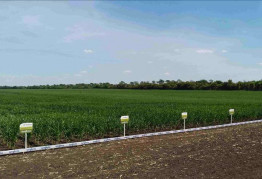 Какова рыночная цена сельхозземли в Украине ?