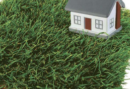 Сколько земли необходимо, чтобы прокормить одного украинца