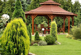 Кто скупает землю по всему миру