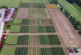 Покупка земельного участка. Что нужно знать