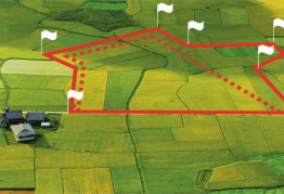 Набирає чинності новий закон про перехід землі власнику нерухомості на ній!