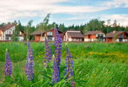 Советы тем, кто решил купить дом в деревне