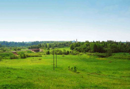 Земли, самовольно захваченные до 2007 года, можно узаконить