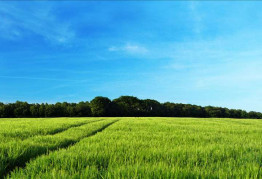 Каждому – 10 соток или Как получить землю на которую вы имеете право